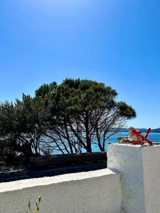 Villetta La Conchiglia La Maddalena (Sassari) Exterior foto